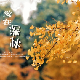 爱在深秋 原调简易钢琴弹唱 带歌词 谭咏麟 流行经典-钢琴谱