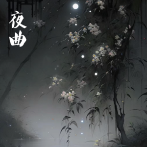 夜曲/Nocturne【抒情】-钢琴谱