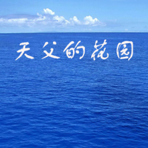 天父的花园  简易拜厄程度可弹-钢琴谱