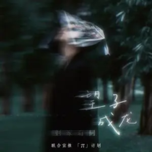 望子成龙 原调 简单易上手