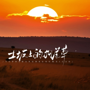 土坡上的狗尾草 原调简易版 卢润泽-钢琴谱