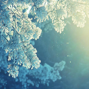 初雪钢琴简谱 数字双手