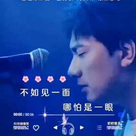 不如见一面 C调简易钢琴弹唱带歌词 海来阿木
