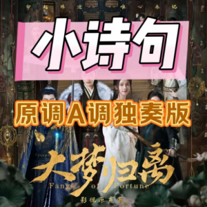 小诗句钢琴谱，原调A调独奏。-钢琴谱