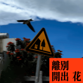 离别开出花钢琴简谱 数字双手