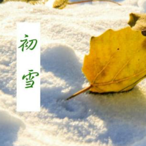 初雪钢琴简谱 数字双手
