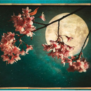 G小调No.7夜曲