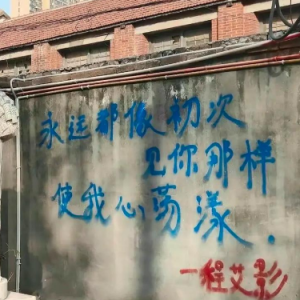 程艾影 C调简易钢琴弹唱 带歌词 赵雷-钢琴谱