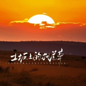 土坡上的狗尾草 C调简易版 卢润泽-钢琴谱