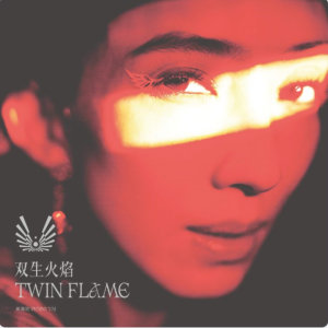双生火焰钢琴简谱 数字双手 戴佩妮