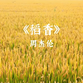 稻香 原调简易钢琴弹唱 带歌词 周杰伦-钢琴谱