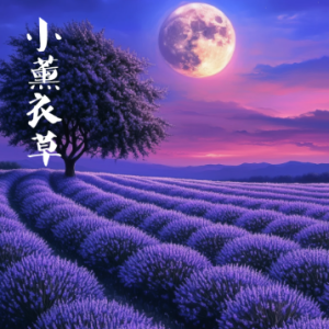 小薰衣草钢琴简谱 数字双手