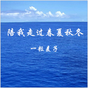 陪我走过春夏秋冬  小羊一粒麦子-钢琴谱