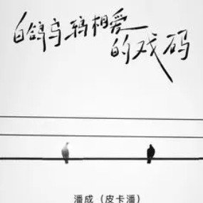 《白鸽乌鸦相爱的戏码》0.9x降调版-钢琴谱