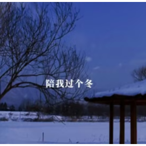 陪我过个冬 C调简易版 李嘉嘉