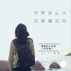 世界这么大还是遇见你钢琴简谱 数字双手 程响