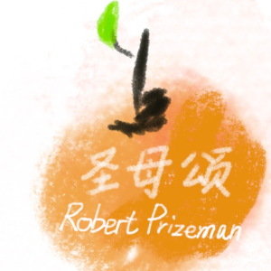 《圣母颂》Robert Prizeman 钢琴独奏谱（钢琴初级程度）免费