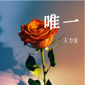 唯一-王力宏 原调精编简易版 经典怀旧 新手易弹（电影《恋爱通告》插曲）-钢琴谱