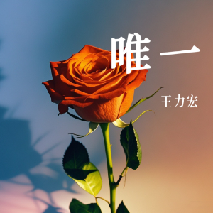 唯一-王力宏 C调精编简易版 经典怀旧 新手易弹（电影《恋爱通告》插曲）-钢琴谱