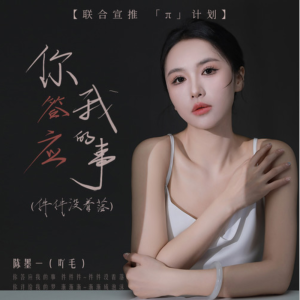 你答应我的事钢琴简谱 数字双手