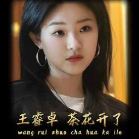 茶花开了 C调简易版  王睿卓-钢琴谱