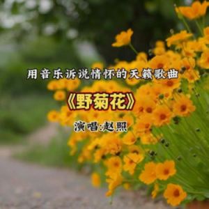 野菊花钢琴简谱 数字双手