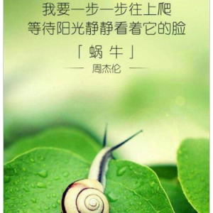 蜗牛钢琴简谱 数字双手