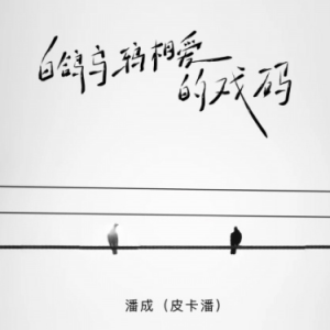 A《白鸽乌鸦相爱的戏码》（皮卡潘、全新精编+完整版）-钢琴谱