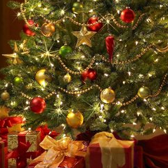 We Wish You a Merry Christmas 八音盒