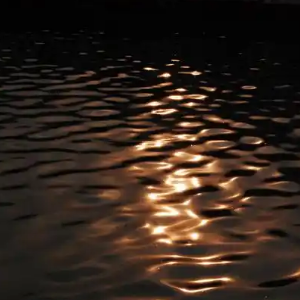 Trois Nocturne F minor No. 3钢琴谱