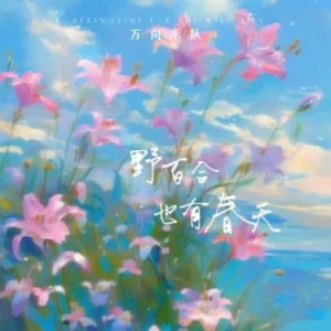 野百合也有春天 (万向乐队版)  C调钢琴谱