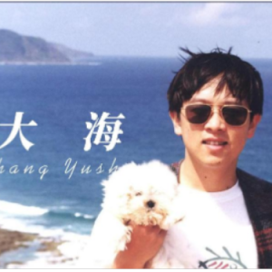 大海 原调简易钢琴弹唱 带歌词 张雨生-钢琴谱