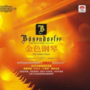 卡农变奏曲钢琴简谱 数字双手