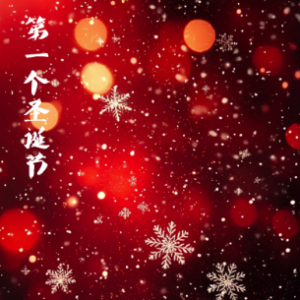第一个圣诞节 /The First Noel【唯美】