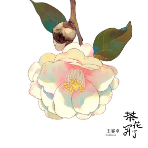 茶花开了钢琴简谱 数字双手 林晨阳