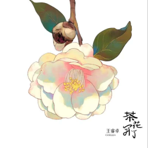 茶花开了（B调简单版）-钢琴谱