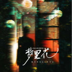 梦里花（C调简单版）-钢琴谱