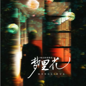 梦里花（原调简单版）-钢琴谱