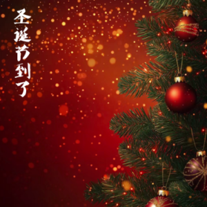 圣诞节到了/Christmas Time Is Here 【唯美】
