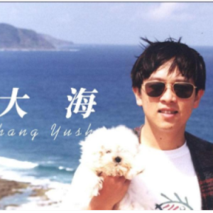 大海 C调简易钢琴弹唱 带歌词 张雨生-钢琴谱