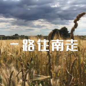 一路往南走钢琴简谱 数字双手