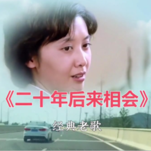 谷建芬 二十年后再相会 简单演奏版 经典老歌钢琴谱