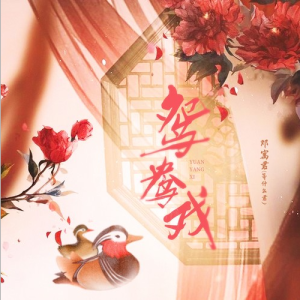 鸳鸯戏—等什么君【A调入门简单版】-钢琴谱
