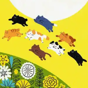 跳华尔兹的猫 （四手联弹）-师生音乐会选曲-钢琴谱