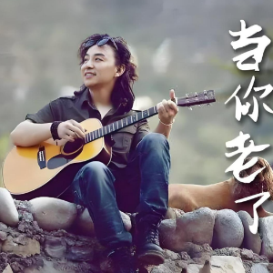 当你老了 （四手联弹）-赵照钢琴谱