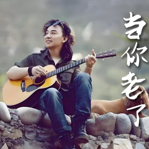 当你老了 （四手联弹）C调 -赵照钢琴谱