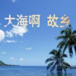 大海啊故乡 （四手联弹）-电影《大海在呼唤》插曲-钢琴谱