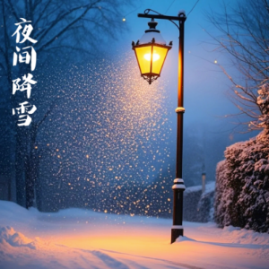 夜间降雪/Evening snowfall 【抒情】