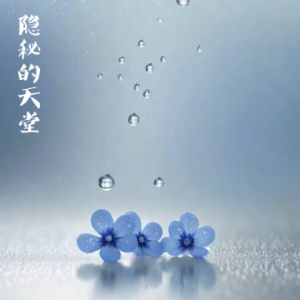 隐秘的天堂/The Hidden Paradise 【宁静】-钢琴谱