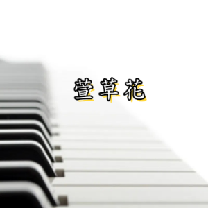 萱草花钢琴简谱 数字双手